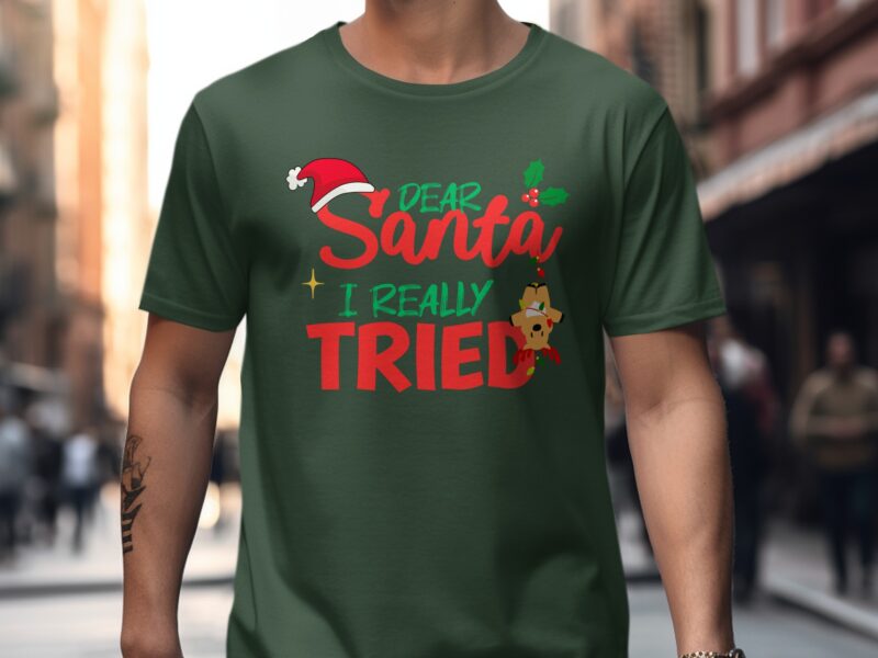 Dear Santa I Really Tried Christmas T-Shirt
