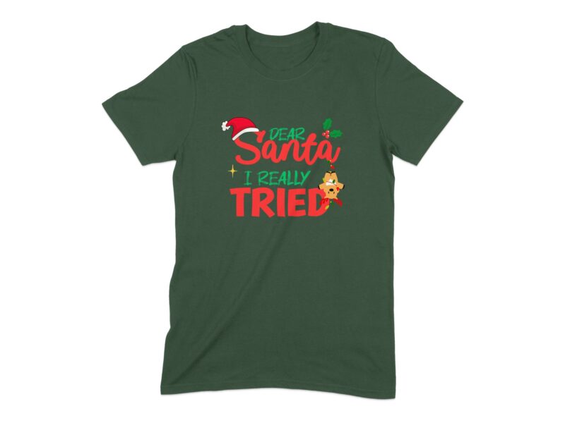 Dear Santa I Really Tried Christmas T-Shirt